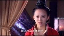 明星视频门种子合集,合集背后的真相与争议