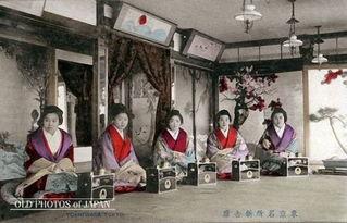 日本妓院视频播放,妓院视频背后的真相与争议