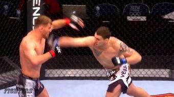 ufc重量级比赛视频,激战瞬间回顾