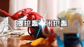 蛋神的视频,烹饪技巧与美食奥秘大公开