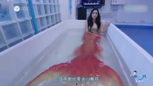 鱼美男电视剧免费观看,浪漫奇幻爱情剧带你领略梦幻世界