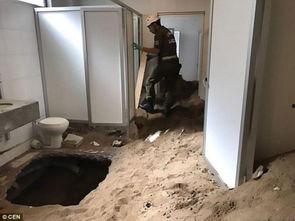 日本厕所洞,揭秘独特文化背后的卫生革命