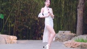 日本肉丝熟母,探寻日本传统美食的精髓