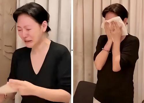 日本熊gv网站,一场视觉与文化的碰撞之旅