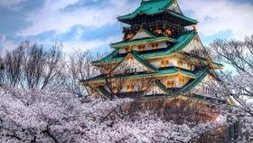 天下第一日本,揭秘其独特魅力与历史底蕴